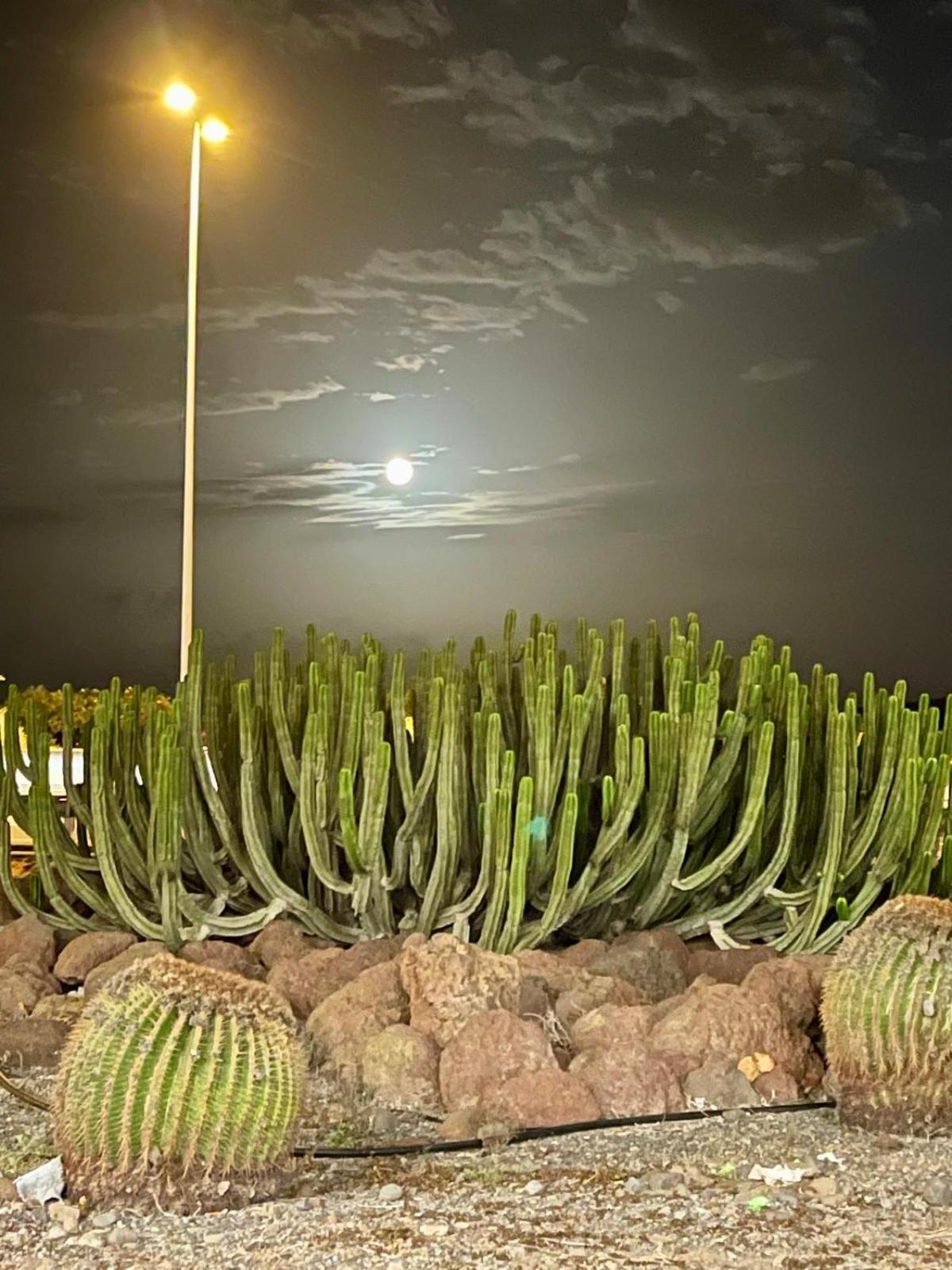 Serenity Garden Maspalomas  Exterior foto